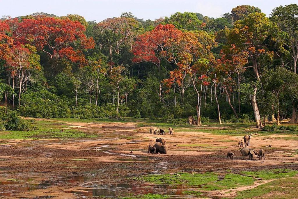 Manovo St. Floris National Park